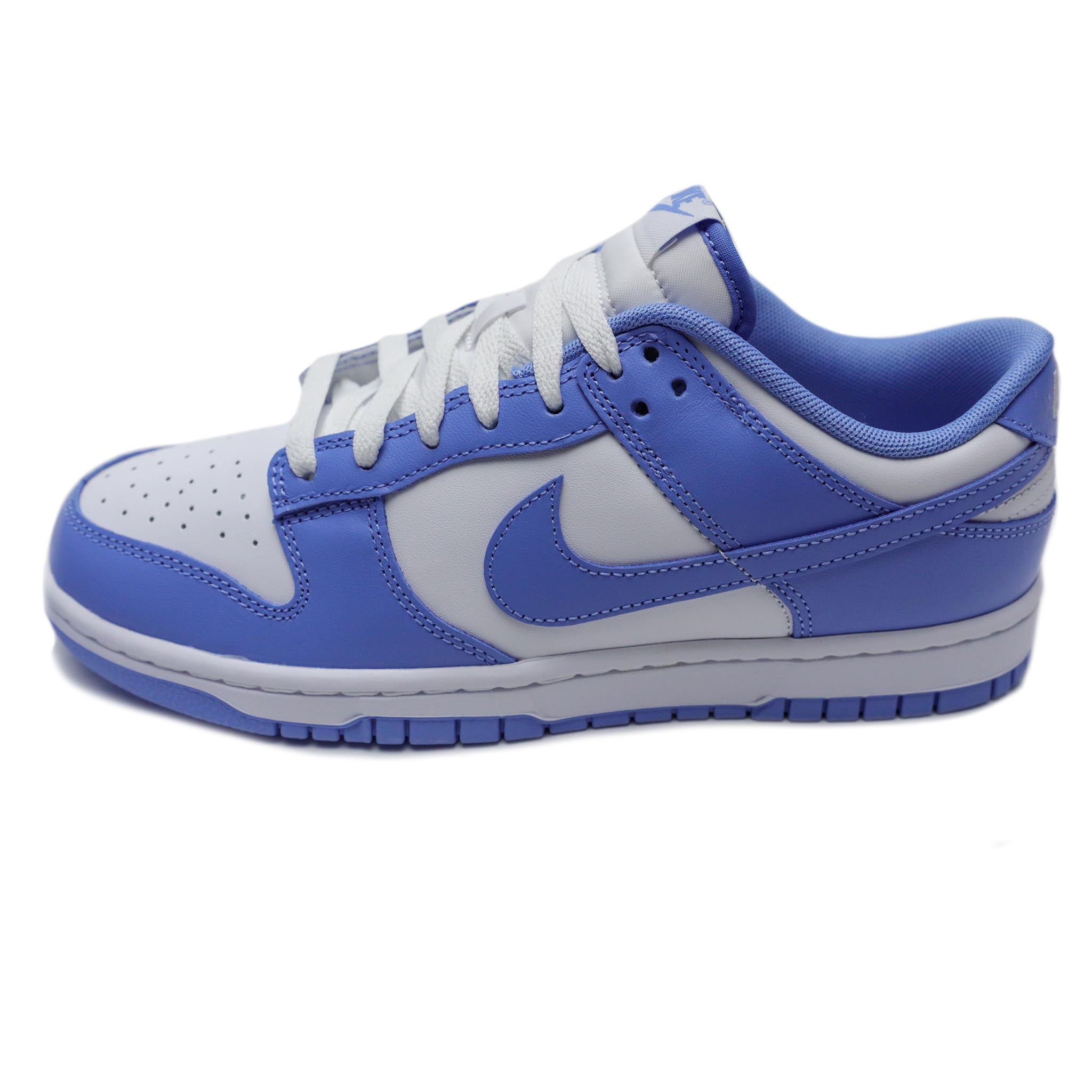 Nike Dunk Low Retro 'Polar Blue'