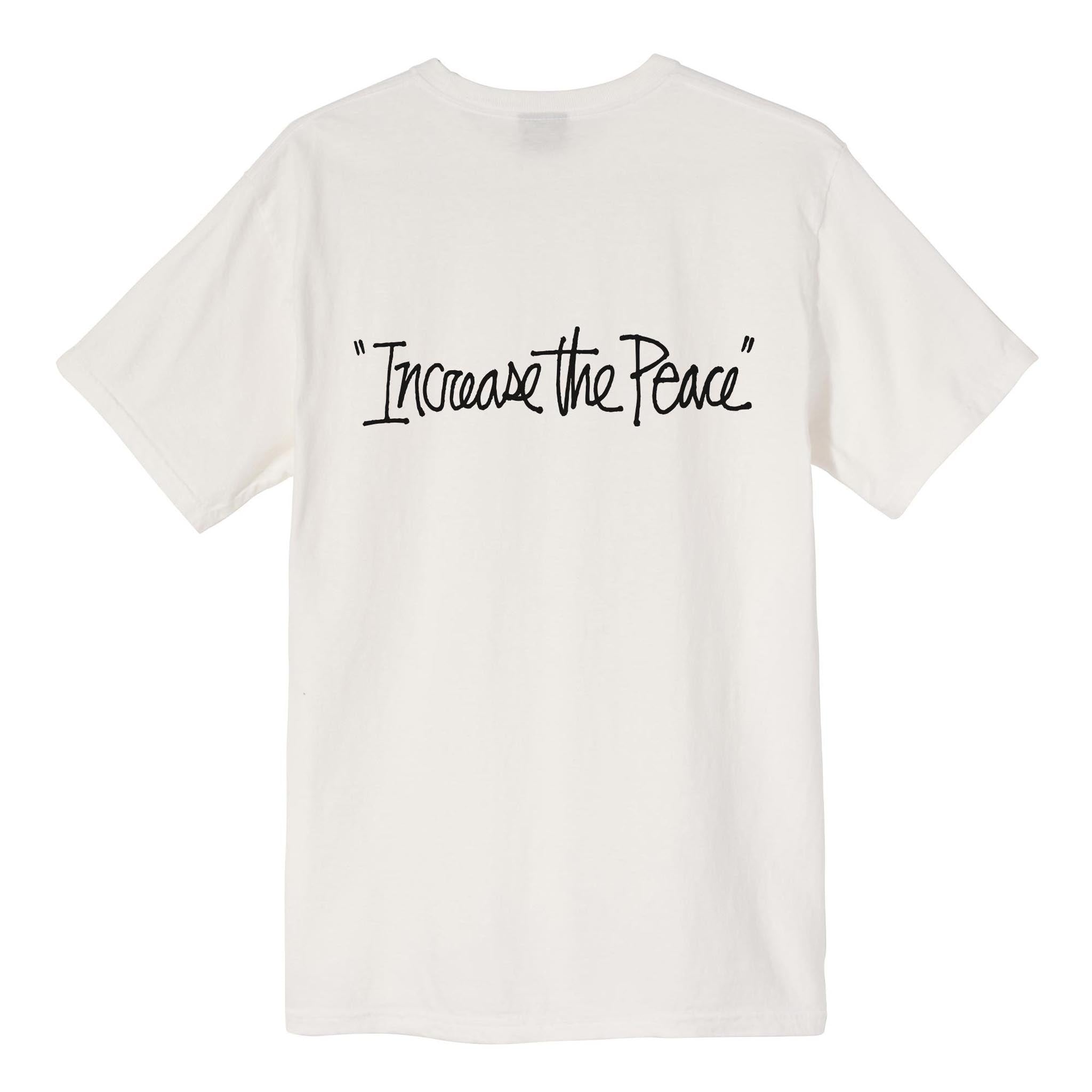 Stussy Increase The Peace Long Sleeve Tee Natural